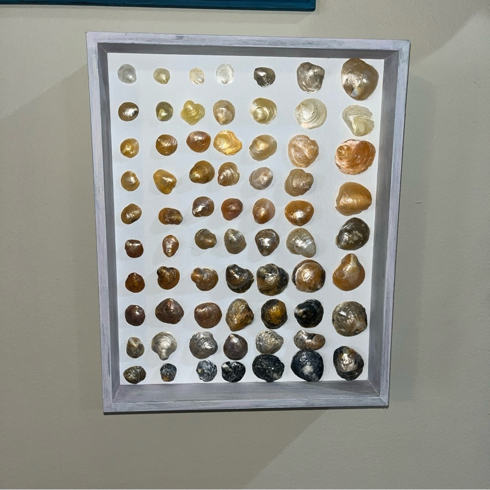 3-D One of A Kind Handmade Seashell Art